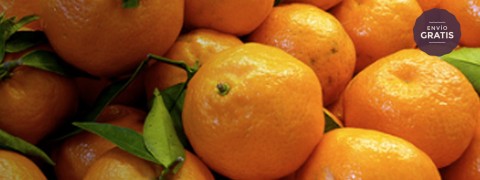 mandarina_de_valencia